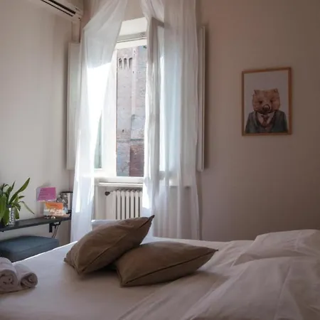 Cappello チェゼーナ